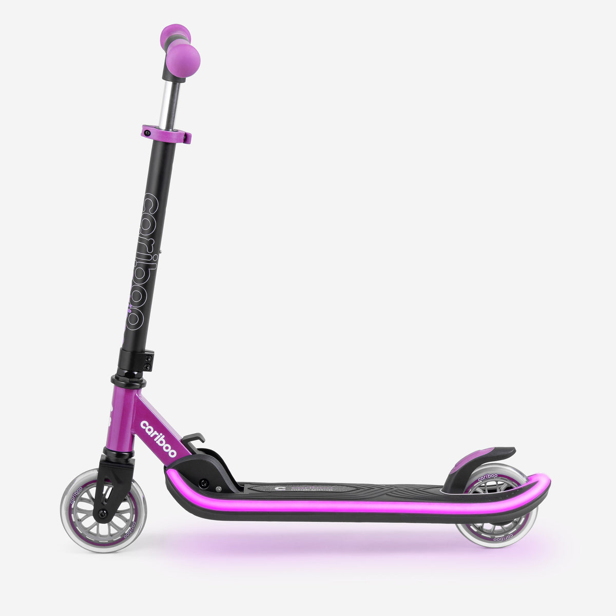 Cariboo LEDstar (pink)