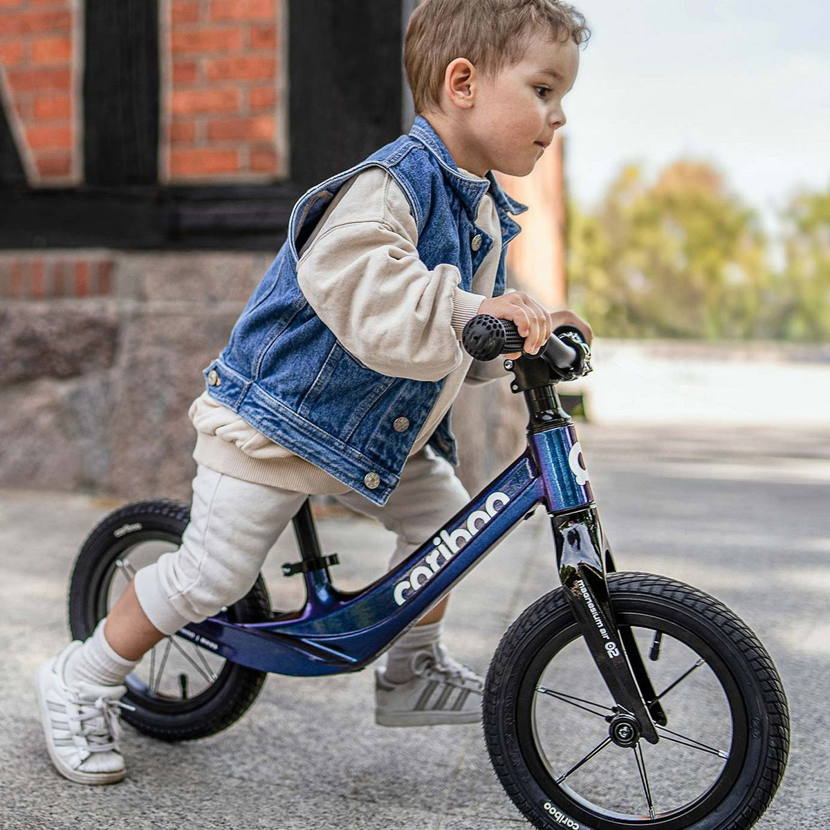 Cariboo Magnesium Air (Chameleon)