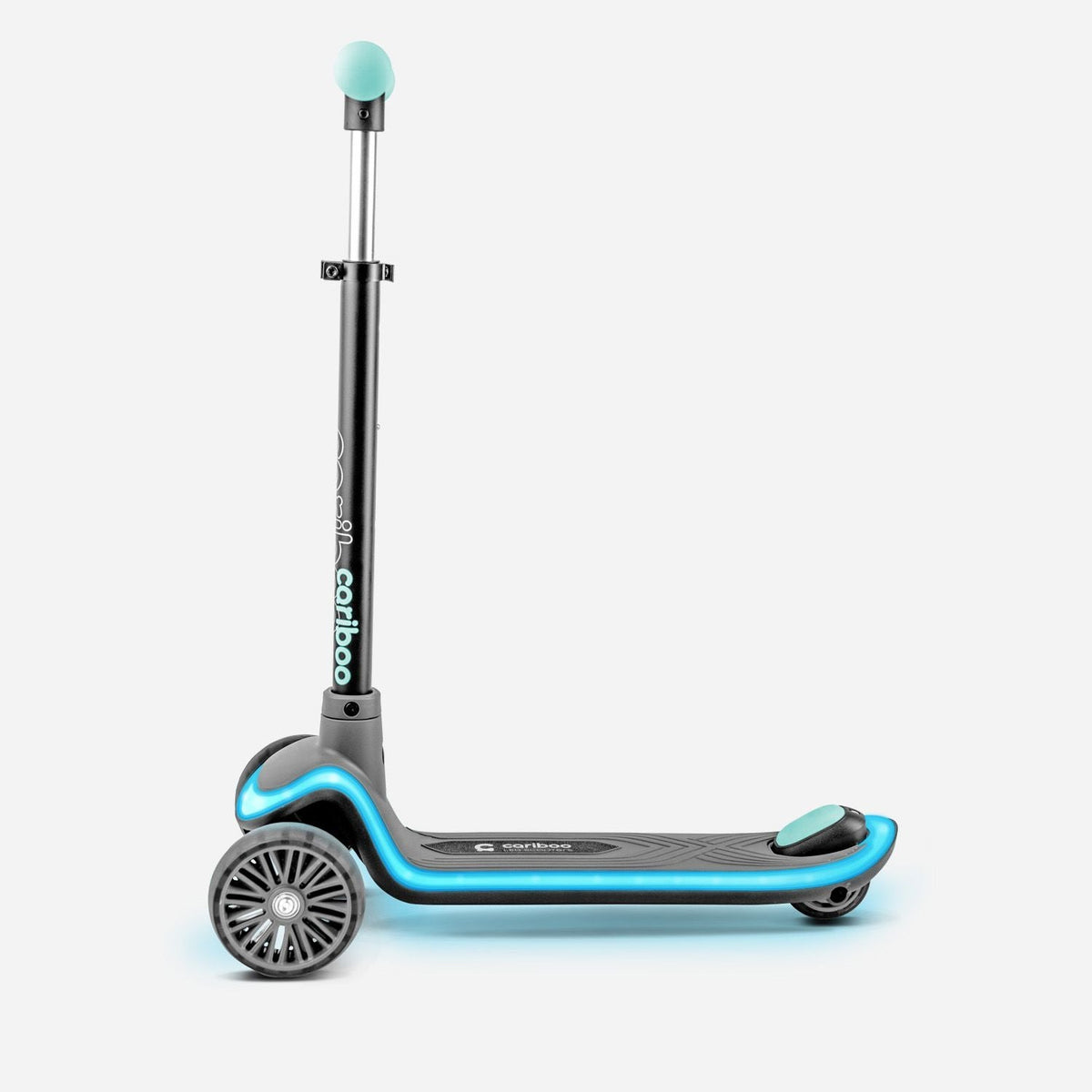 Cariboo LEDstar (turquoise)